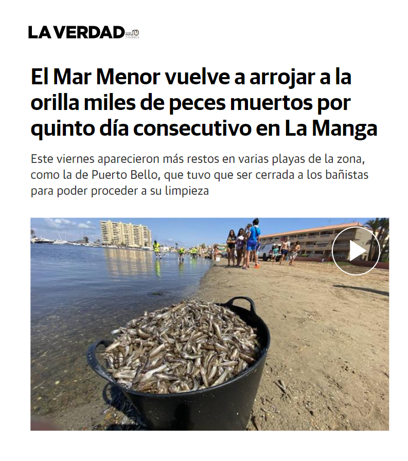 huermur's tweet photo. 5⃣ día consecutivo apareciendo peces muertos en el Mar Menor. Cinco días, y todavía no hemos escuchado ni una sola declaración del presidente @LopezMirasF sobre este desastre medioambiental. Solo un paseo en barca para la foto #SOSMarMenor #MedioAmbiente

https://t.co/bLDwDAZMxs https://t.co/7WttayvfMM