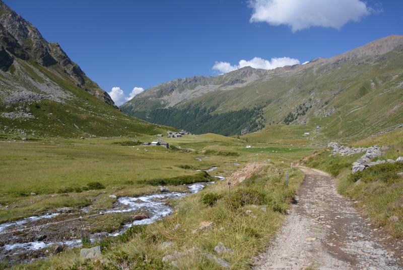 gianolinibike's tweet photo. Una dura pedalata in #MTB nella Val di Rezzalo (#Sondrio) circondati da panorami mozzafiato. Da S. Caterina una strada tagliafuoco vi condurrà a Sant'Antonio dove una bellissima pista ciclabile vi porterà prima a Bormio e poi a Le Prese. Maggiori dettagli: https://t.co/PU4XGePFpN https://t.co/ewxBQqs9OV