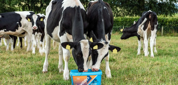 New lifelong approach to dairy efficiency 

farmbusiness.co.uk/livestock/dair…

#new #dairy