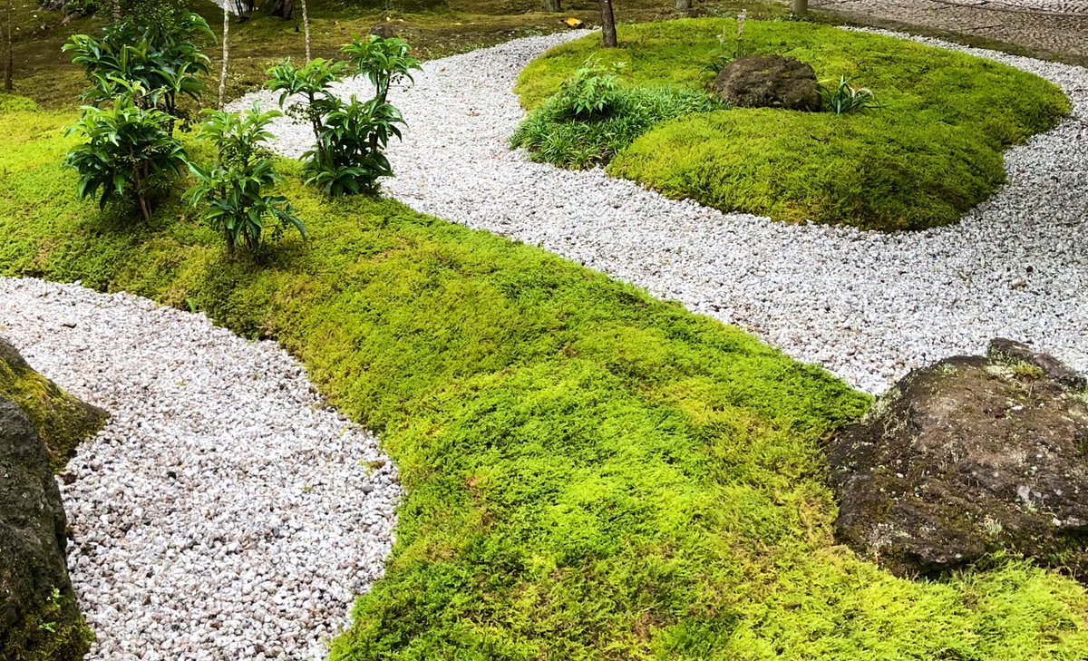 苔むすび 園田純寛 Moss Kamakura Twitter
