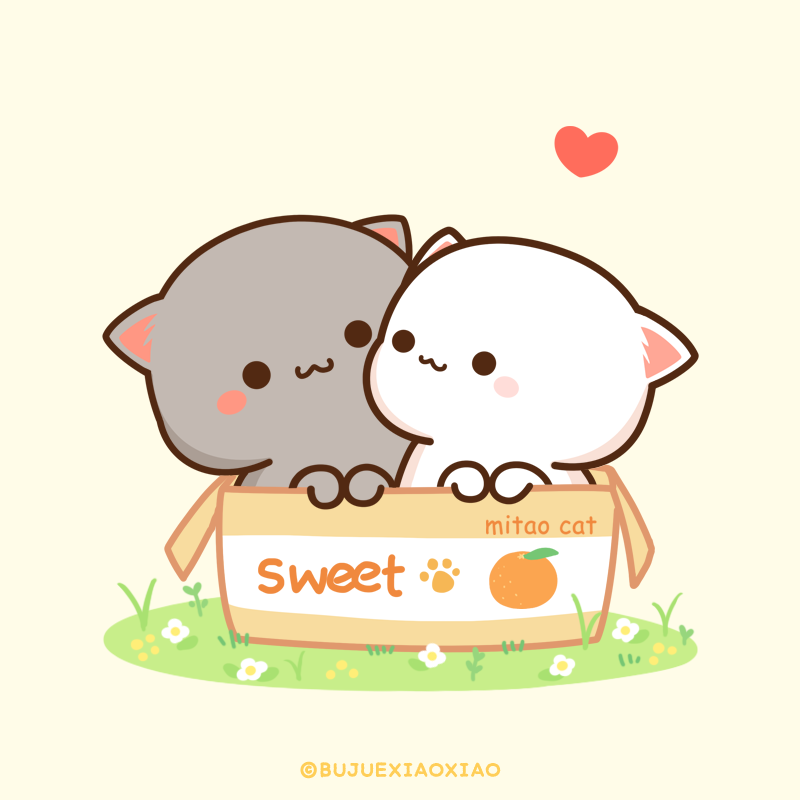 ももねこちゃんとごまくん Momoneko Goma Twitter