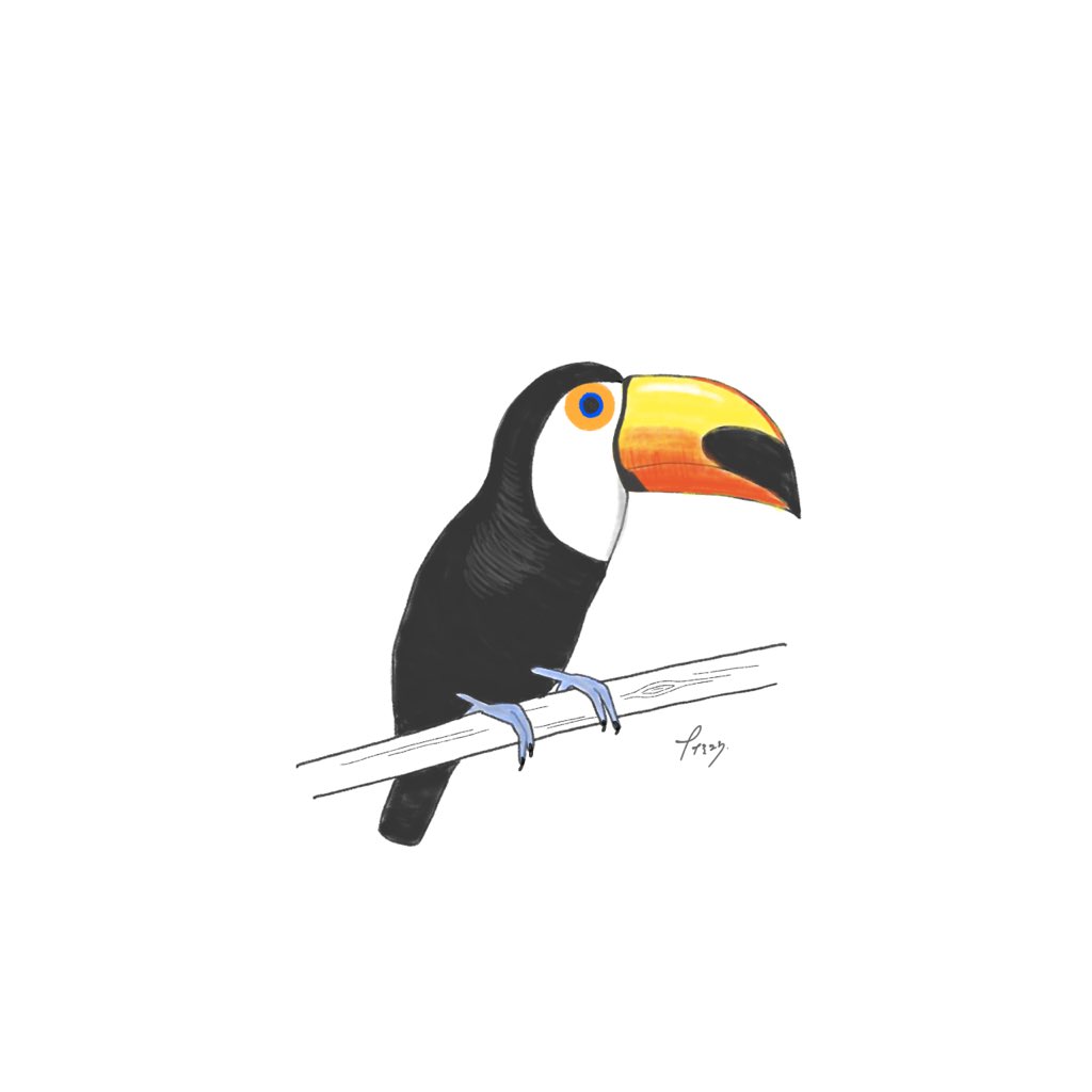 ナナミ 動物イラスト オニオオハシ 前にやった餌やり楽しかったな オオハシ オニオオハシ 動物 動物好き イラスト 動物好きな人と繋がりたい イラスト好きな人と繋がりたい Illustration T Co Ti1qbj3qh0 Twitter