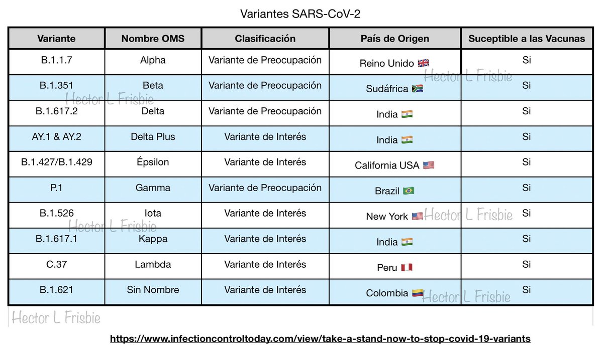 HLFrisbie's tweet image. #COVID19 
#Infodemia 
#Variantes 
@proceso 

Hasta hoy 
Solo hay una cepa, Lambda es una VARIANTE 
Asesórense por favor, no desinformen

La investigadora NO dice lo que afirman

Crédito Imagen @BENJAMINCARO3