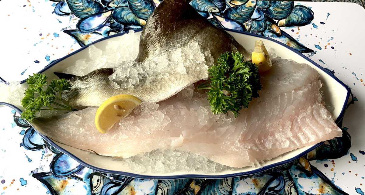 Today’s catch! Pollock fillets! Available to collect or we are delivering to Tresco at 5pm today. Call us on 01720 423880 to order yours. 
#todayscatch #eatmorefish #freshfish #pollock