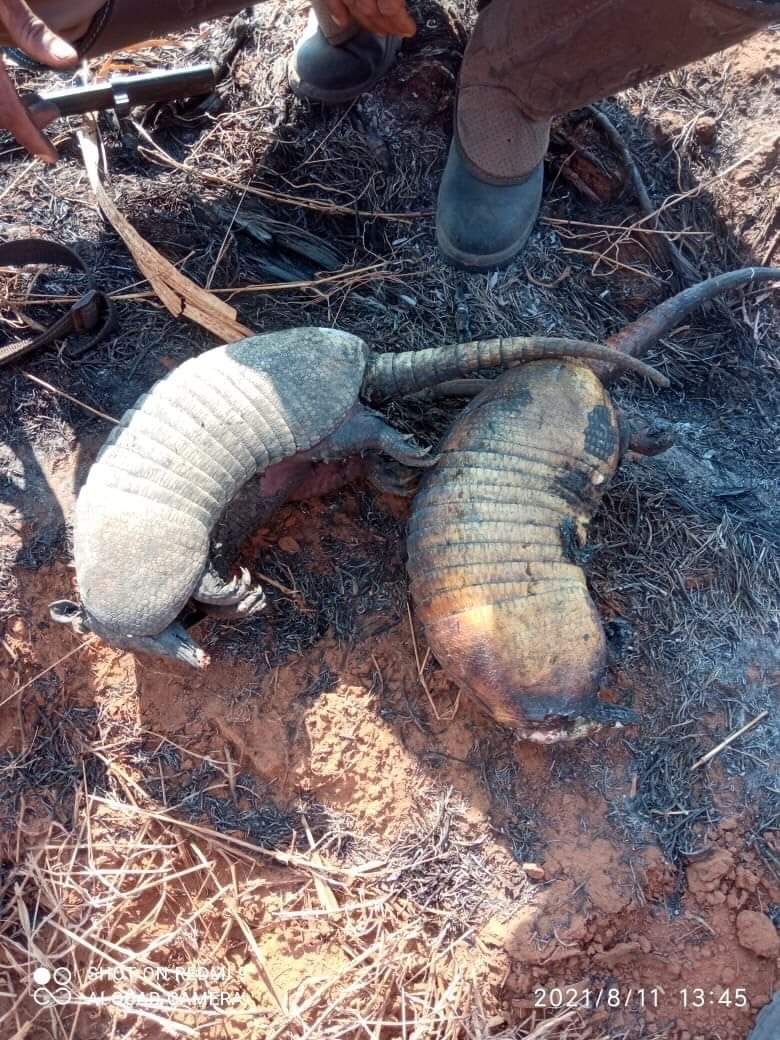 JOSEESCAURIZA's tweet photo. ¿Te imaginas que alguien incendie tu casa contigo adentro? Eso le pasa a ellos. Las víctimas directas de los incendios. https://t.co/KnU7vTCvW0