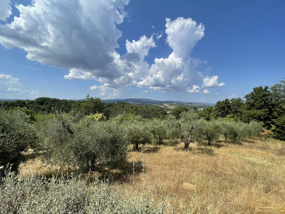 robbertd's tweet image. San Gimignano, Tuscany, Italy.
