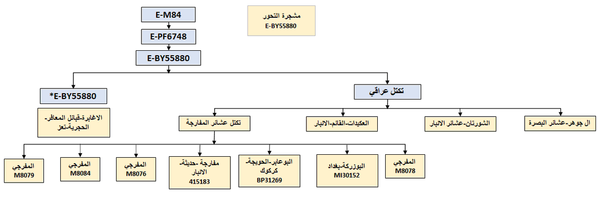 يسرنا إعلان نتيجة 37 ماركر لعينة غسان المفرجي-البوعابر-المفارجة-(كركوك-العراق)
برقم:BP31269
موجبة ماركريا للتحورات:
E-M84 >PF6748>BY55880
 متكتلة مع باقي عشائر المفارجة من بغداد/الانبار/كركوك وعلى الفرع عينات من (العكيدات والشورتان ومن عشائر البصرة). 

*مرفقة مشجرة E-BY55880
