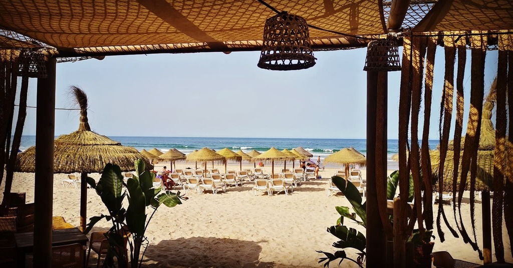 cadizlovers's tweet photo. #chiringuitos are not only restaurants on the #beach. They are a #wayoflife
#cadiz #cadizlovers #summer https://t.co/hPT6Zn0cXI https://t.co/7GxDdkbVOd