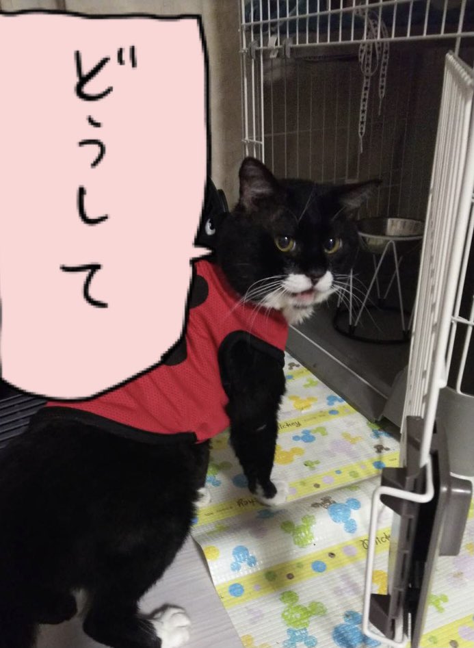 @nI7sZZ0gbVwkXiH 言えてる 