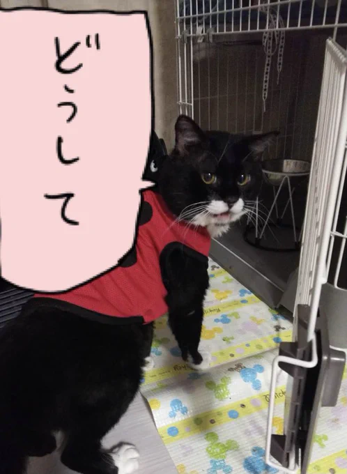 @nI7sZZ0gbVwkXiH 言えてる 