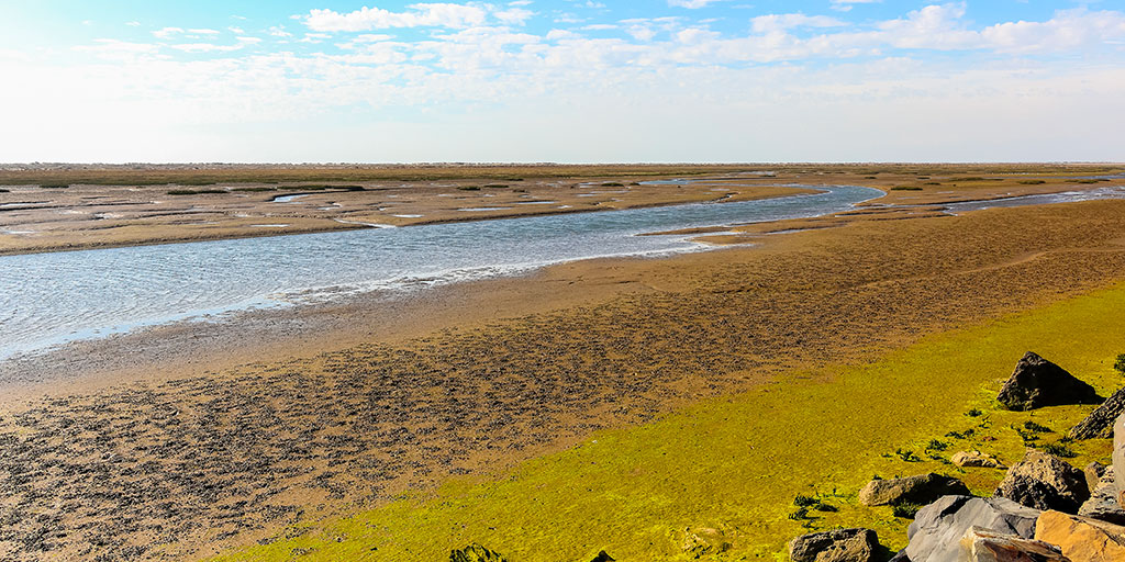 <a href="/viveandalucia/">Vive Andalucía</a> Vous méritez d'admirer les marais du #ParcNationalDeDoñana et les #MarismasDelOdiel.💚 Vous méritez une visite guidée de #Huelva pour découvrir cet habitat et connaître sa faune et sa flore.

👉 bit.ly/DonanaEspagne

#VousMéritezlEspagne #WorldHeritageSite <a href="/viveandalucia/">Vive Andalucía</a>