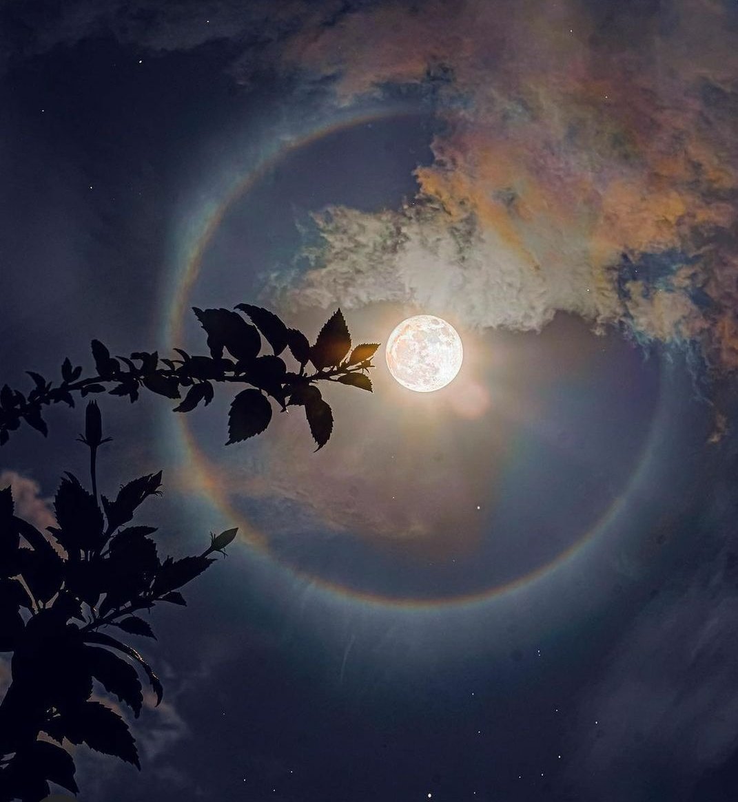 این دفعه جز معدود دفعاتی هست که از ماه نو ۸ اگوست تا ماه کامل، #بیت_کوین حالت رنج و حتی صعودی به خودش گرفت و این عالی هست.برای پایان اگوست روزهای عالی (برایندصعودی)در راه هست...
از ۲۲ اگوست تا ۱۴ روز  بیت کوین به ۵۳ و ۵۴ را به راحتی رد خواهد کرد.....  

#Btc
#financialastrolgy