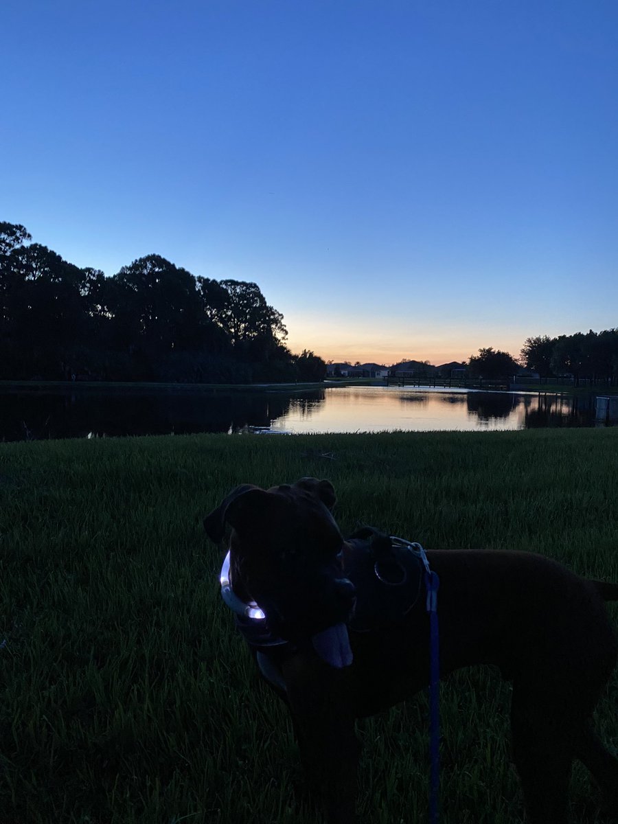 DannyHayasaka's tweet photo. #HappyFriday from #Florida!!! 😃 #10K to start the day! Still using the @ultimateears #UEFITS and they haven’t fallen out despite the buckets of sweat! 🥵 https://t.co/dTk9flvBPd