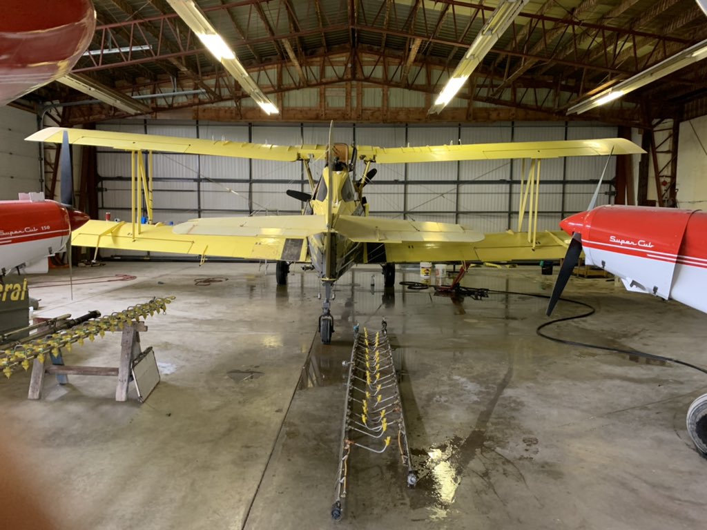 Paul Hodgins tweet media