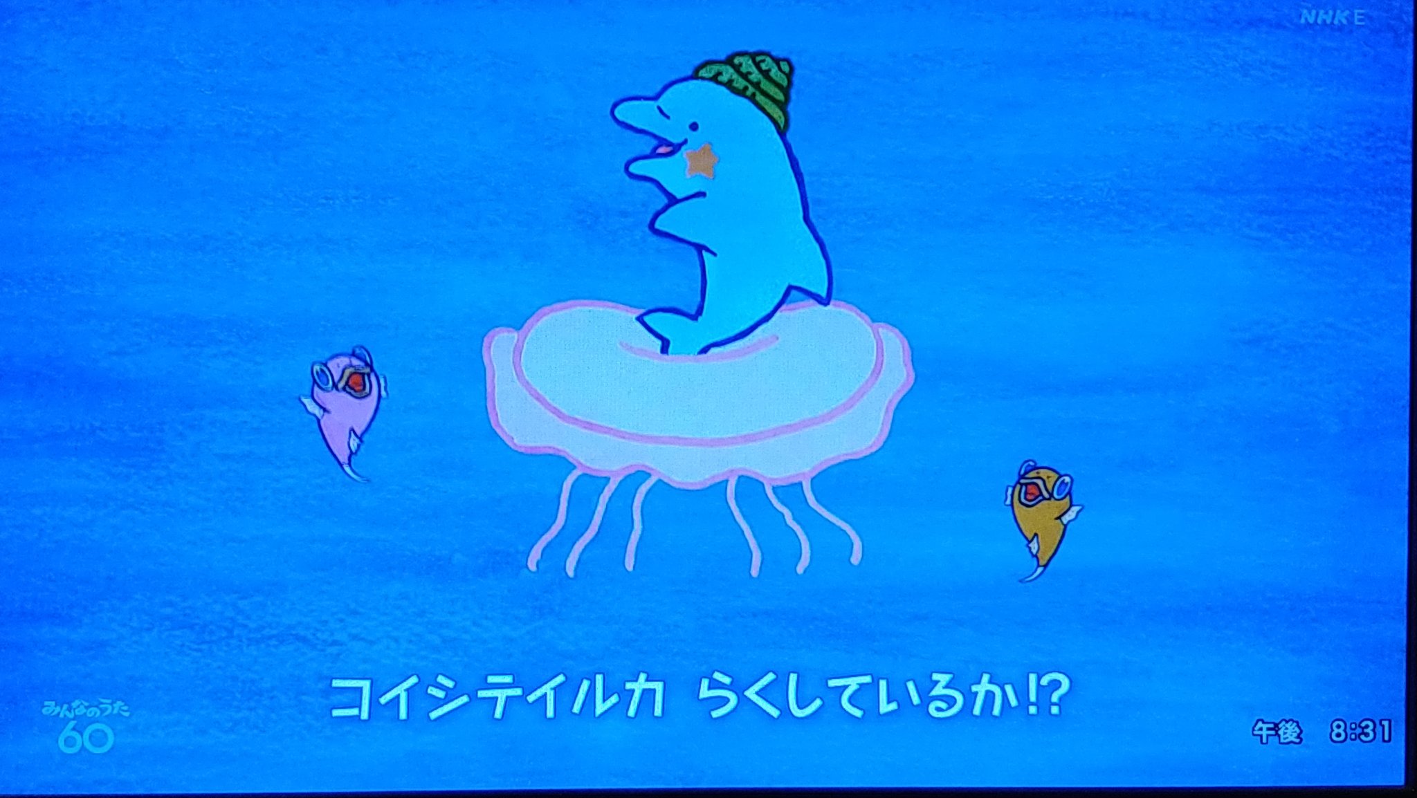 NHKみんなのうた 「コイシテイルカ」 CD さかなクン （楽天
