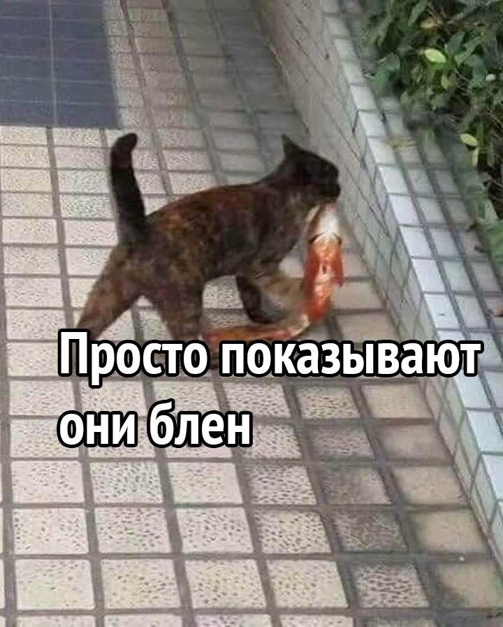 Всё