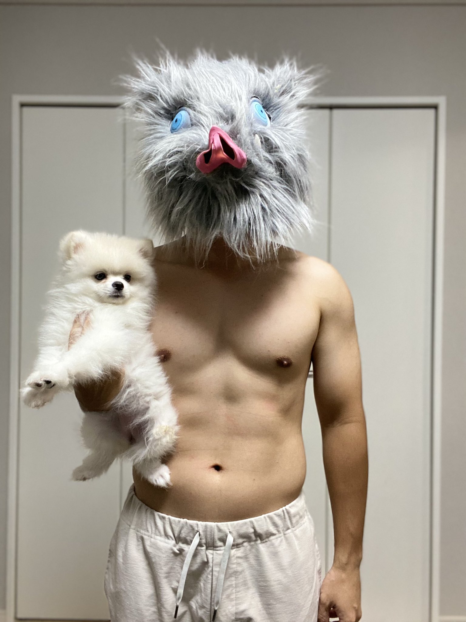 伊之助ボディになるまで毎日腹筋ローラー 173日目 体重60 2kg T Co Ajxlwbs9yn Twitter 伊之助ボディになるまで毎日腹筋ローラー 173日目 体重60 2kg T Co Ajxlwbs9yn Twitter