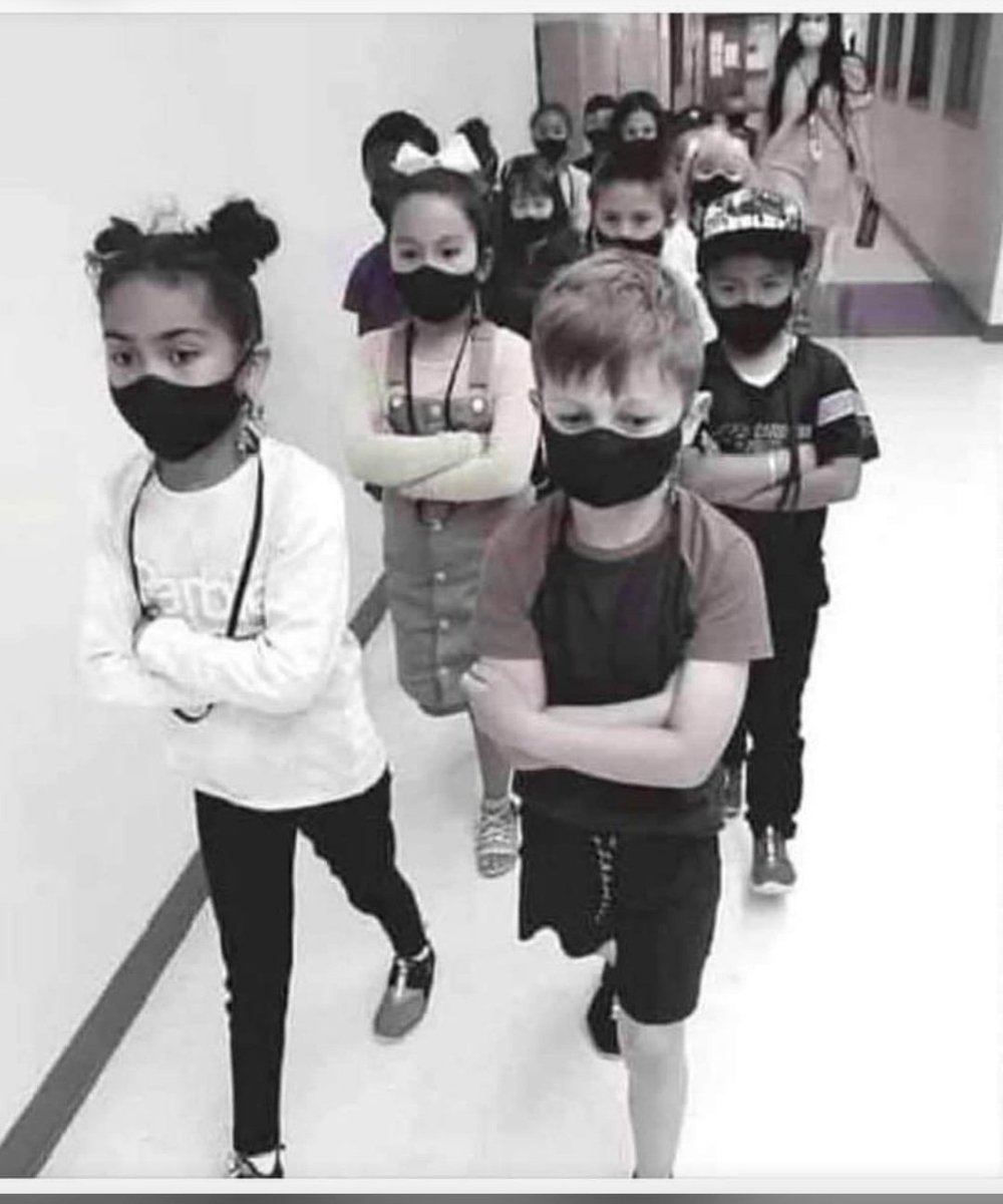 sensibilisesse's tweet photo. @PattyMurray Not true in WA public schools that's for damn sure. Seattle posted their plea for children to come back bc they want the money. NIce of you to help them.
None of you care about the kids.
Please retire.
#gaslighting #profitoverkids #handsoffthekids https://t.co/hSFnrGM9nd