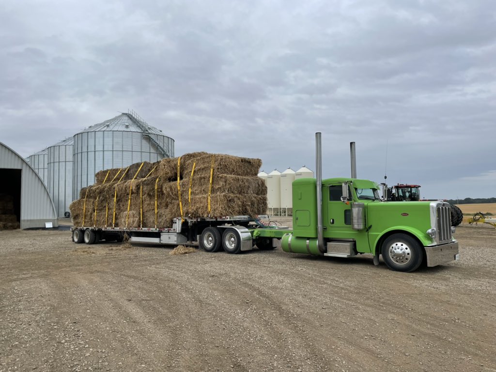 may_troy's tweet photo. Back in 2002 I hauled bales to pay the bills and I put a simple ad in the #westernproducer &amp; my phone rang steady ! “ IF YOUR COWZ R’ BAWLIN’ LET’s GET HAULIN!” Troy @ 13062377671 #Drought2021 https://t.co/mgZ11ThALz