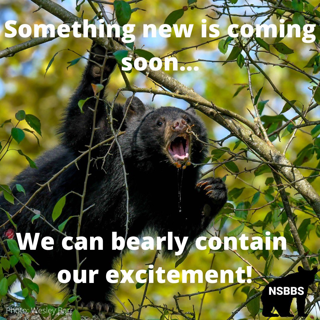 NSBBS (@nsbbsociety) on Twitter photo 