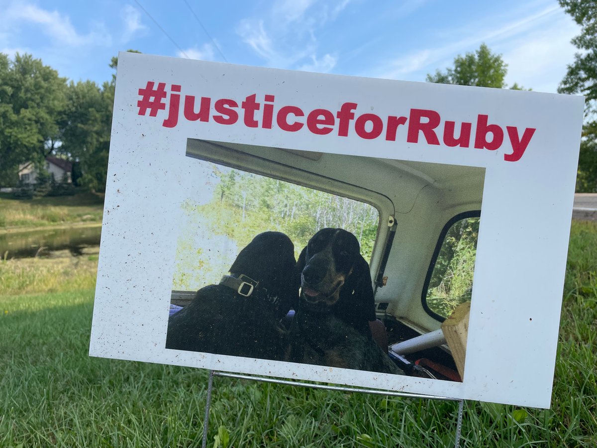 lizcollin's tweet image. Tonight at 6 on @WCCO:

The latest on the investigation into a suspected deadly dog poisoning in Washington County.

A family’s push to find #justiceforRuby that is spreading across Hugo.