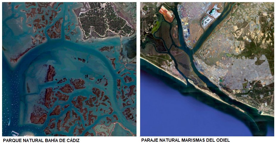 Life Blue Natura ha seleccionado Bahía de Cádiz y Marismas del Odiel para avanzar en el conocimiento de las marismas andaluzas como sumideros de carbono.

Podrás encontrar los resultados de los muestreos y las cartografías de estas zonas en nuestra web: life-bluenatura.eu/es/resultados/