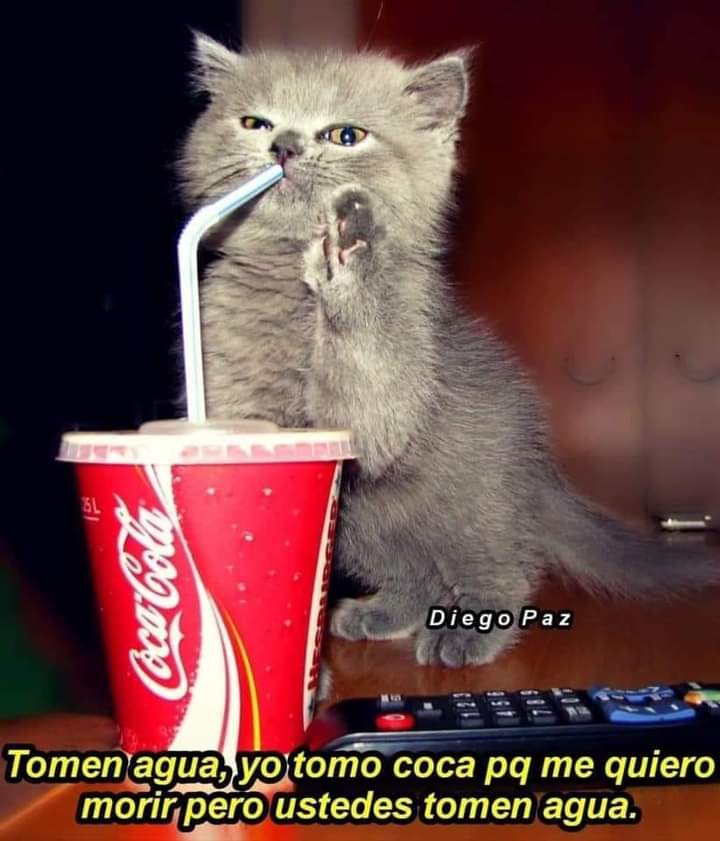 anagompra's tweet photo. #viernesdechavorrucosconmiguel voy cuidar su salud Mike me las guardas todos para mi en #FacetuFace @YODEBUENAS @La99fm @ClubChavorrucos @YoAmoLa99 https://t.co/ZoYQMYyUT2