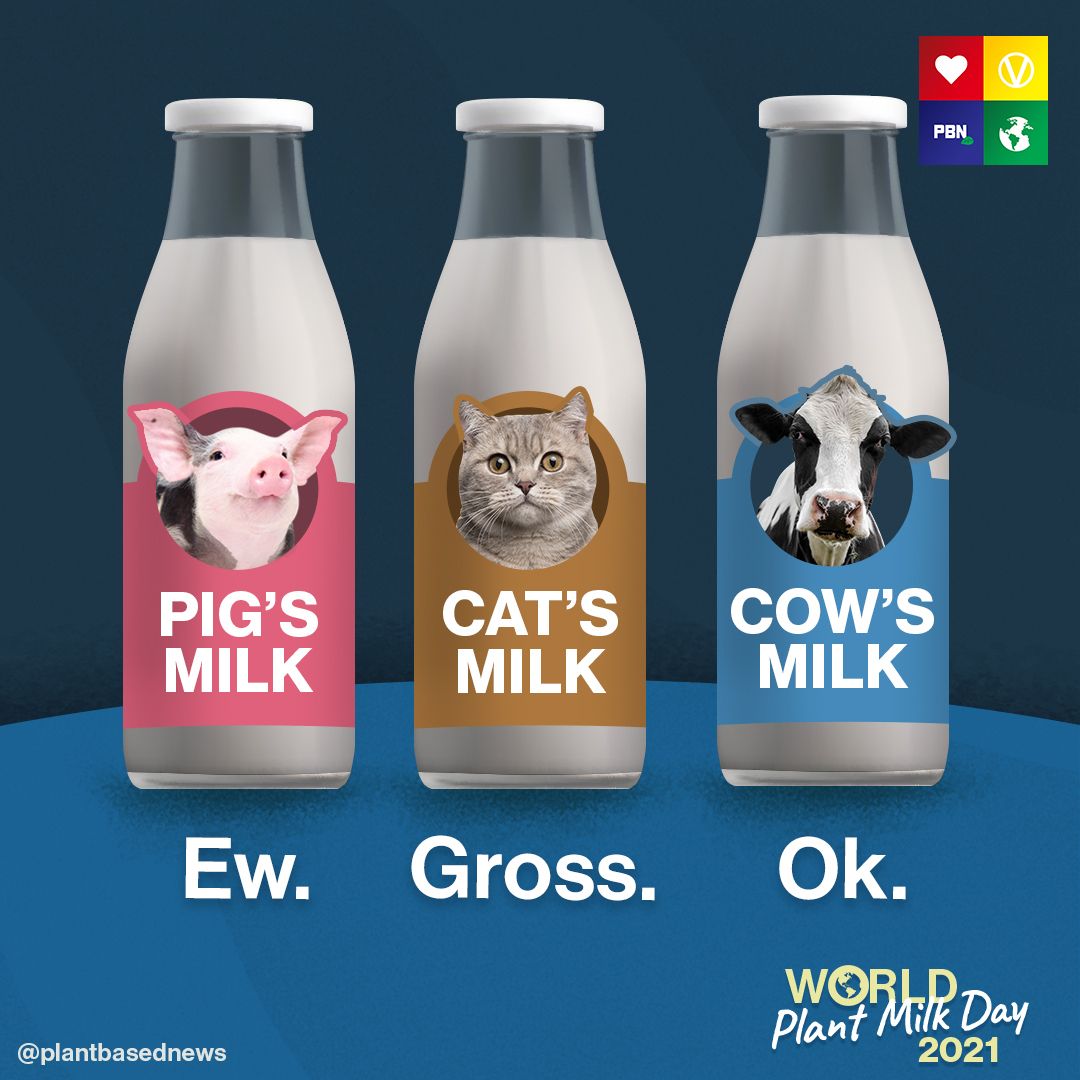 Have you ever considered that drinking milk from a cow may seem normal, but  if it was any other animal, it would be gross? Take our 7-day dairy-free  challenge starting in 2