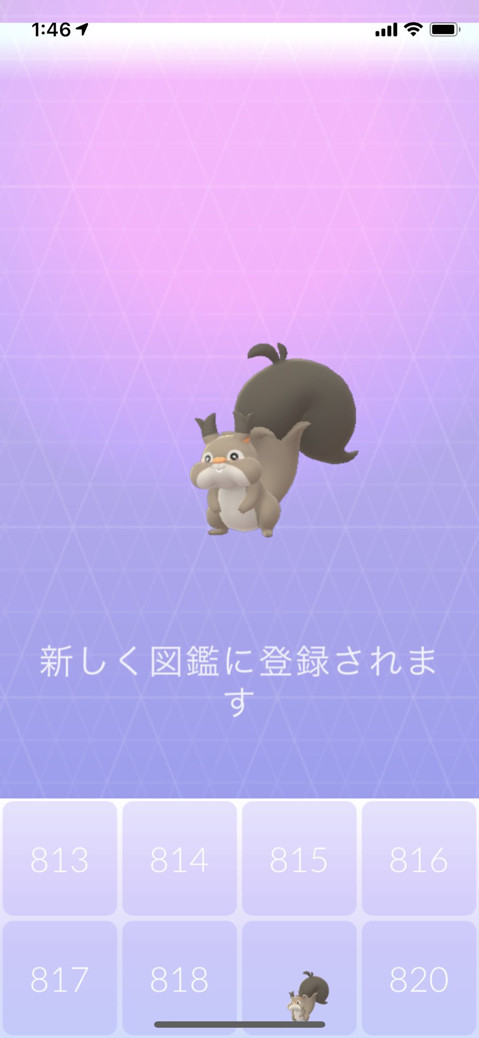 あっちゅ ホシガリスとウールー欲しさにまたポケモンgo始めた ホシガリスはget なんか自宅にバクオングいたんだけど これレアじゃないか あとはお香炊いたけど何も出んのだが T Co Yyhnkd4qt1 Twitter