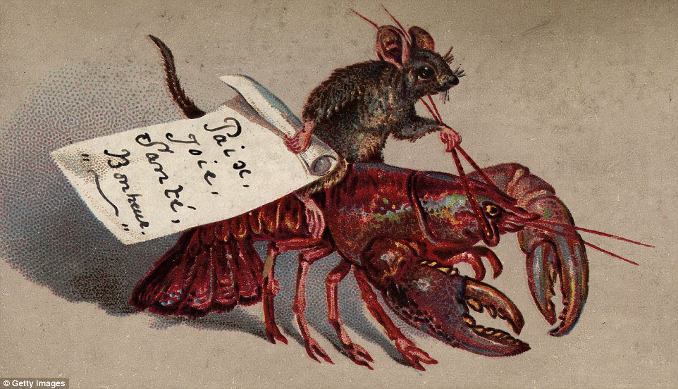 An illustrated rat riding a lobster. The rat is holding a peice of paper work peace, happiness,  health written on it in French.  Imo, the rat is off to battle on its mighty steed