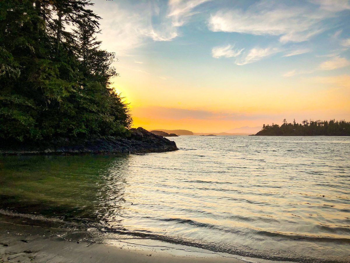 A peaceful walk on the beach as the sun sets in #Tofino. 🌅 #explorebc #beautifulbc