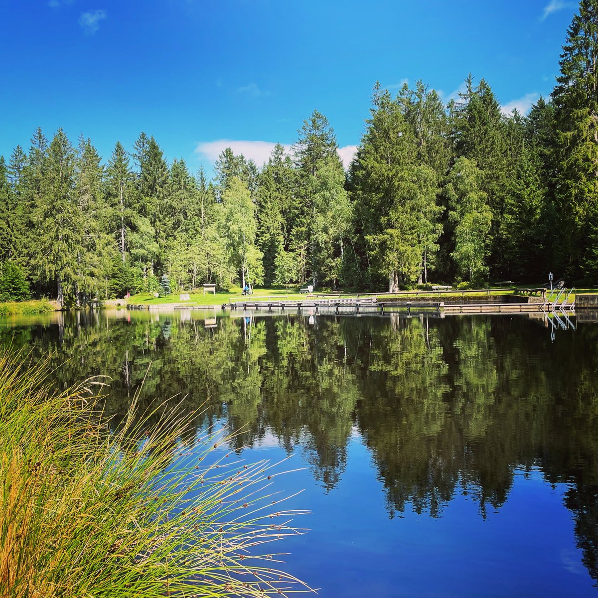 CTrassl's tweet photo. Reflexionen im #fichtelgebirge https://t.co/4xXL3oAmMR