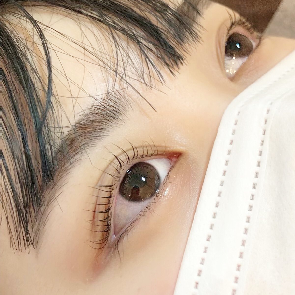 Eyelash Salon Genic まつ毛パーマ 通常 3500円 学割 3000円 まつ毛パーマ パリジェンヌ 心斎橋 T Co 9b8lgswjws Twitter