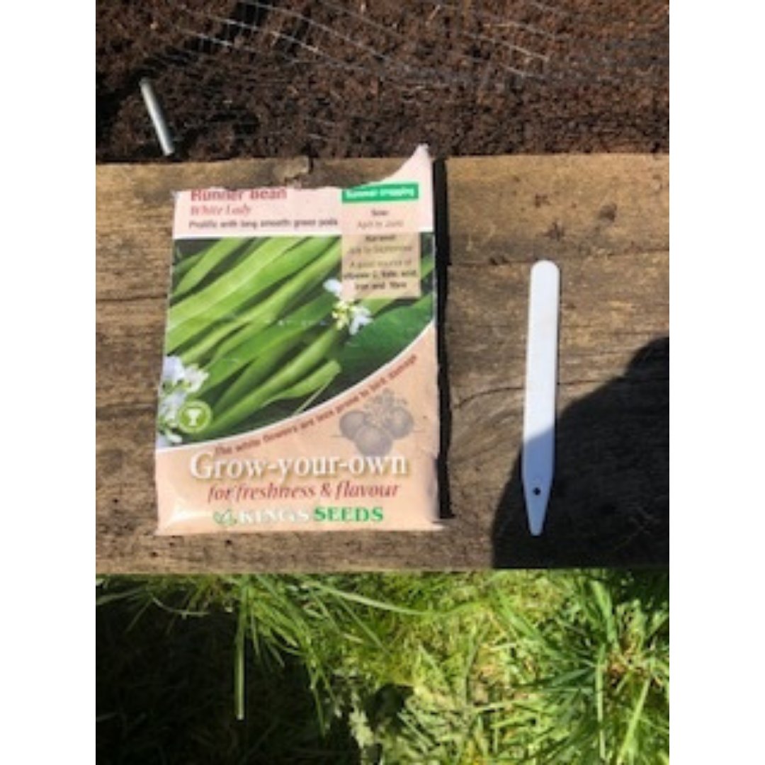 The Team tweet media