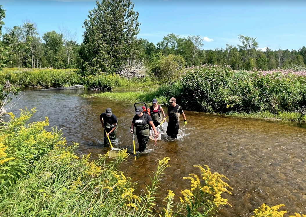 BiotacticInc's tweet photo. Year 2 post #damremoval biomass monitoring complete! Staff just returned from 4 weeks of sampling across the #Saugeen River watershed. 70 sites electrofished and thousands of fish weighed and measured. Can't wait to analyze the data! #fieldwork 
More info: https://t.co/rstugvoO7P https://t.co/Qgen2AdKnp