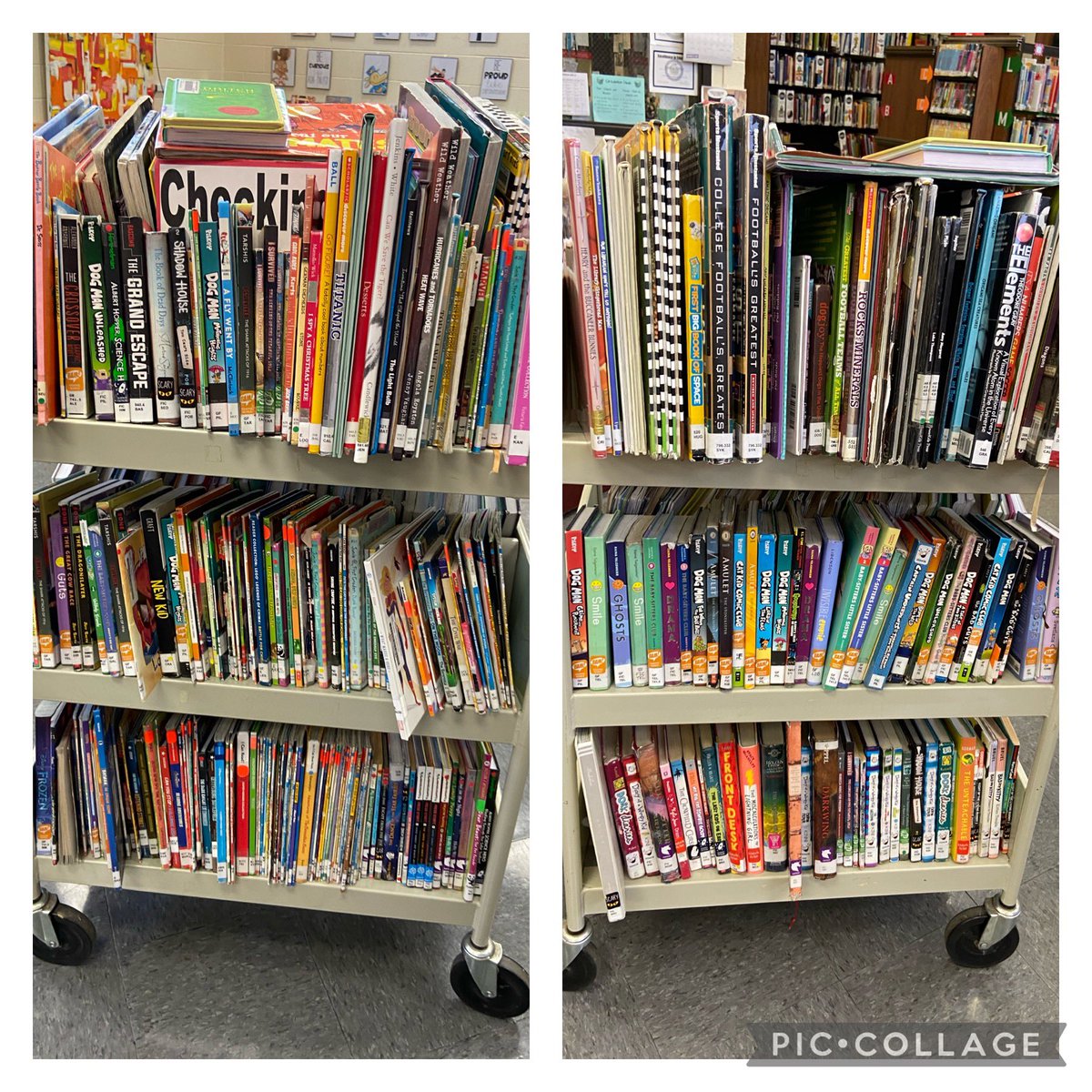 Here are all the books read last week!!  Makes my librarian ❤️ happy.  #resroars🐯 #librarylife📚 #bcsrocks