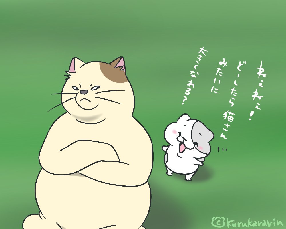 猫の恩返し 画像 最新情報まとめ みんなの評価 レビューが見れる ナウティスモーション 5ページ目