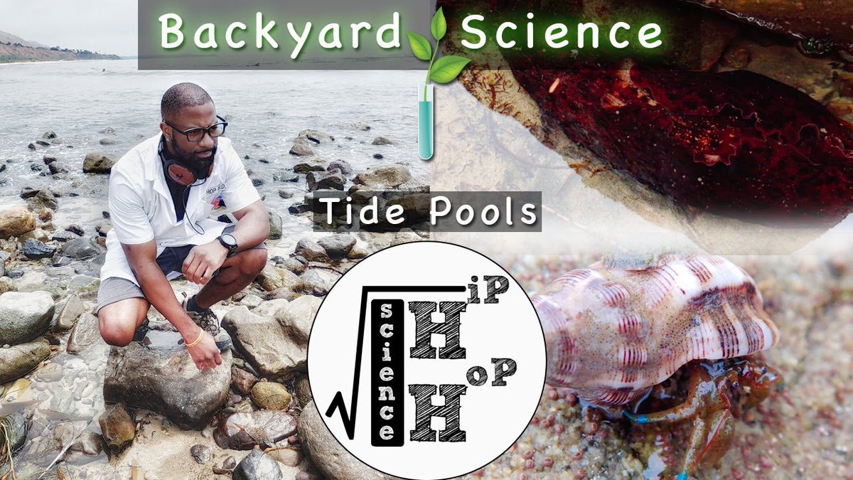 DeepseaECOGIG's tweet image. It's #filmfriday and today we're sharing all about tides and tide pools, thanks to some #backyardscience from @TheHipHopMD !

Check it out!

youtube.com/watch?v=0WfxlT…