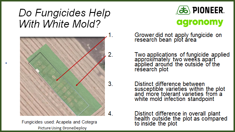 phhermans's tweet photo. 🤔🤔Getting asked a lot of questions ⁉️❓this summer did fungicides help control white mold? A 🖼️🖼️is worth a 1000 words! Great aerial 🪂view using @DroneDeploy to help tell the story. #ontag #SoybeanDisease #Argonomy @CortevaCA #AlwaysLearning https://t.co/CfQQdqIJk1