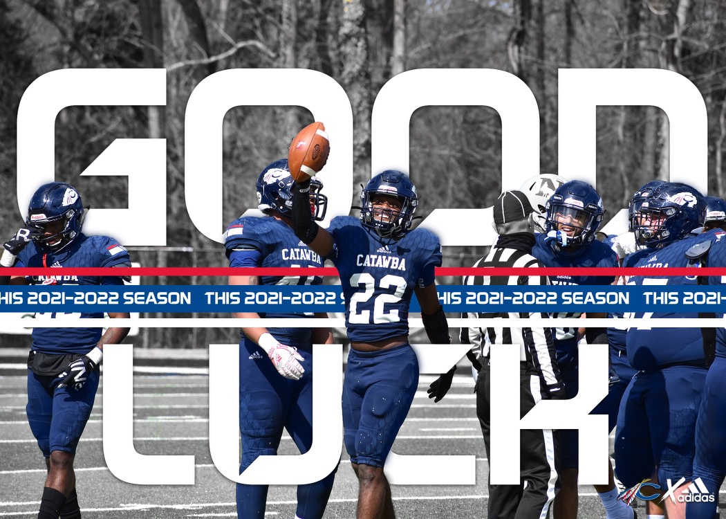 Curtis Walker tweet media