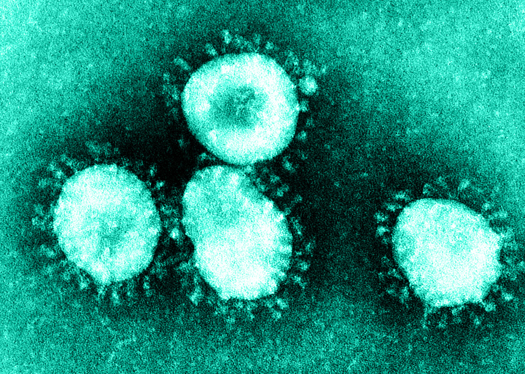 Dr Nicola Rose, Head of Virology at the MHRA's National Institute for Biological Standards and Control, talked to @EMJReviews about her work on Ebola, SARS-CoV-2 and most recently COVID-19. Read the interview: ow.ly/oc4F50FUReP