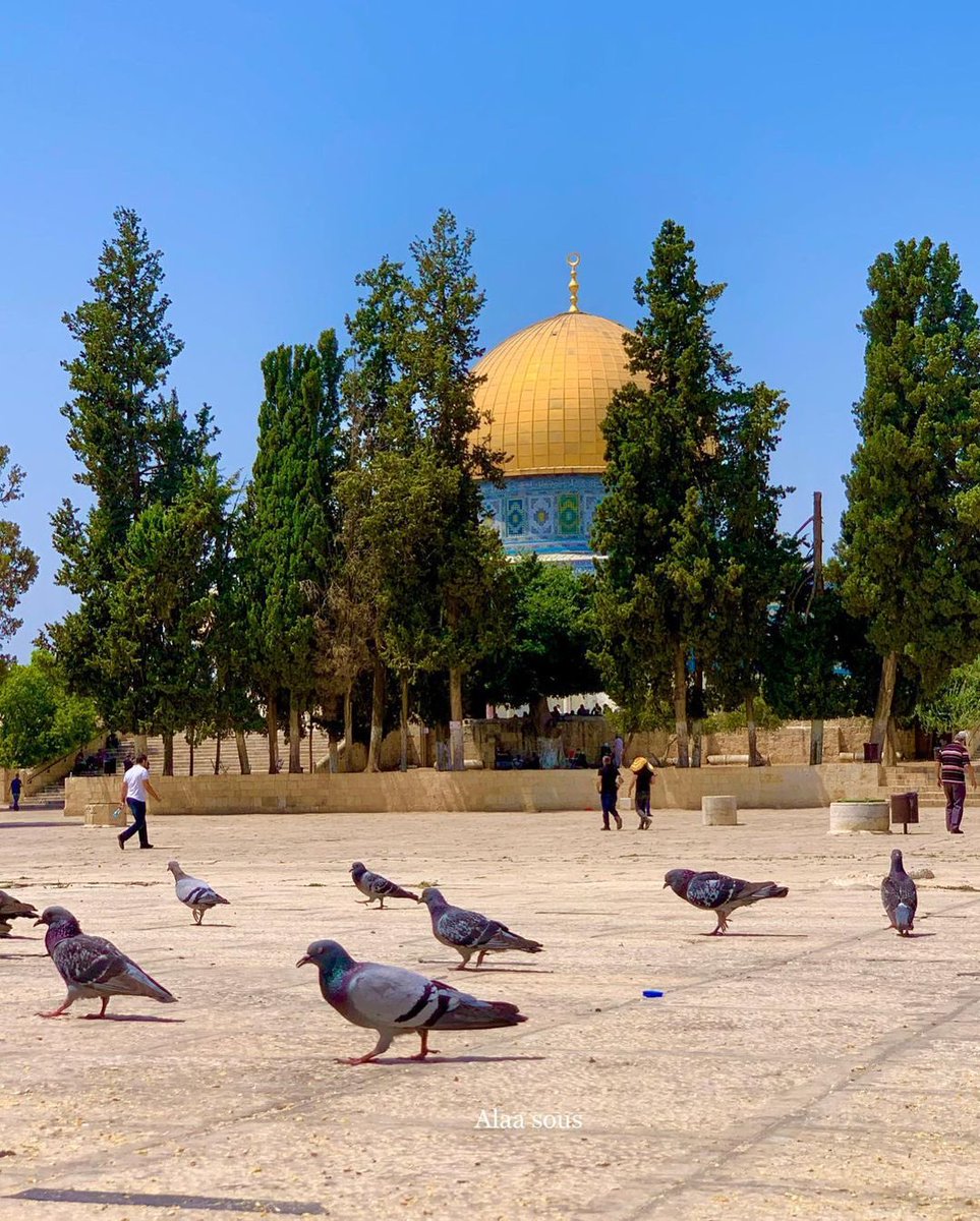 Dome of the Rock, Palestine!