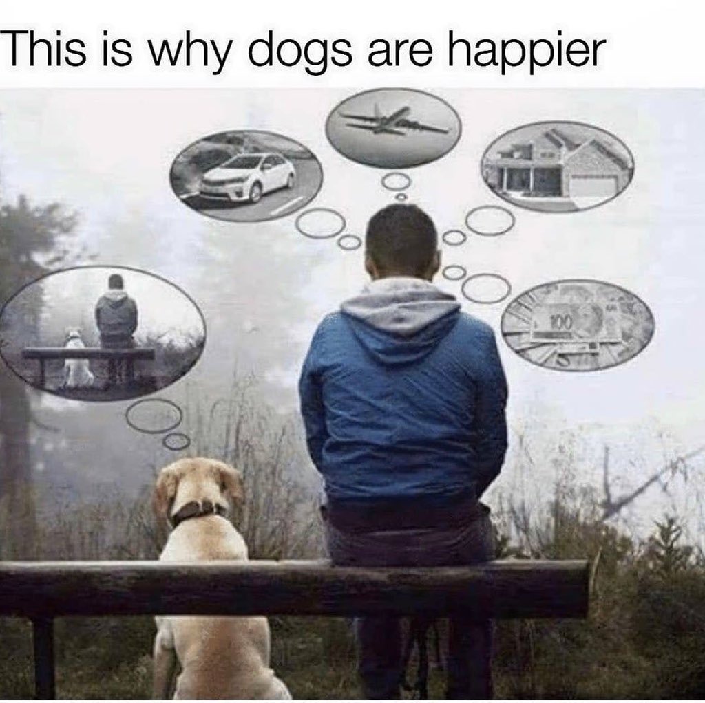 Aleksandar Zmijanjac (@_zmijanjac_) on Twitter photo 