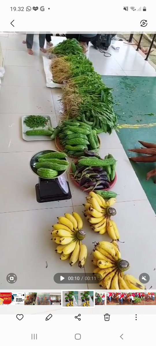 Panen serenak rptra tamplas bambu (pare &amp; terong) rptra garuda (kangkung,bayem,cabe, pisang dan singkong) bersama ketuaTP.PKK Ibu Enan Sulastri &amp; Bpk.Nasir sugiar lurah cilangkap #rptratamplasbambu <a href="/feryfarhati/">Fery Farhati</a> <a href="/dkpkpjakarta/">DKPKP DKI Jakarta</a> <a href="/dppappdki/">Dinas PPAPP Provinsi DKI Jakarta</a> @kominfotik_jt <a href="/tutykusumawati/">tutykusumawati</a> <a href="/pkkjakarta/">Tim Penggerak PKK DKI Jakarta</a>