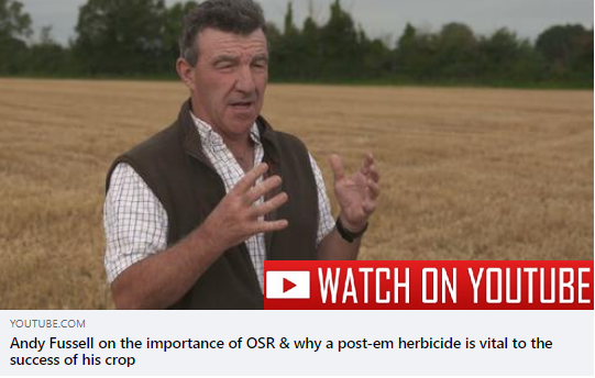 CortevaUK's tweet photo. In this video Andy Fussell discusses the importance of OSR &amp; why a post-em herbicide is vital to the success of his crop. Belkar worked particularly well &amp; Andy will be following the same approach again. Watch ➡️ https://t.co/1iA1bYtAkf 
@Fusselsrapeseed 
@andy_fuss 
@markWOSR https://t.co/ykl4OPWCdE