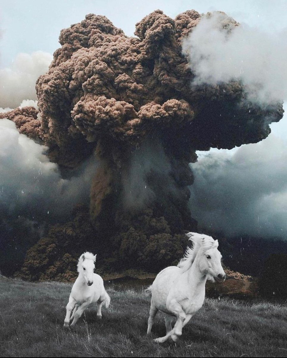 💥

📷 Pony up, 2021 by Canadian #digitalcollage artist #oaknarrow

#ContemporaryArt