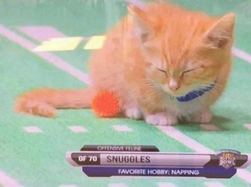 WholesomeMemes tweet media