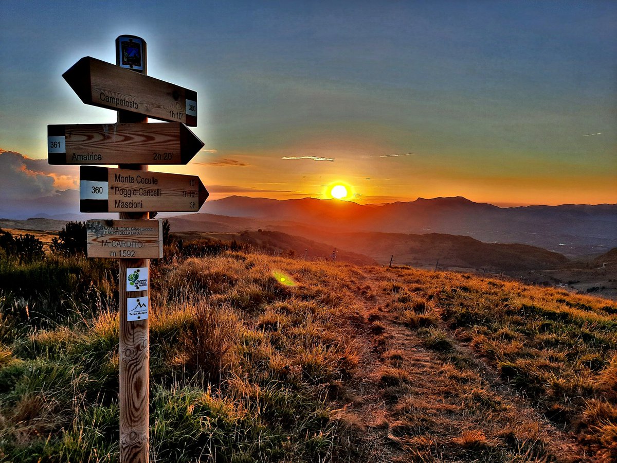 Ŧгคภςץ tweet media