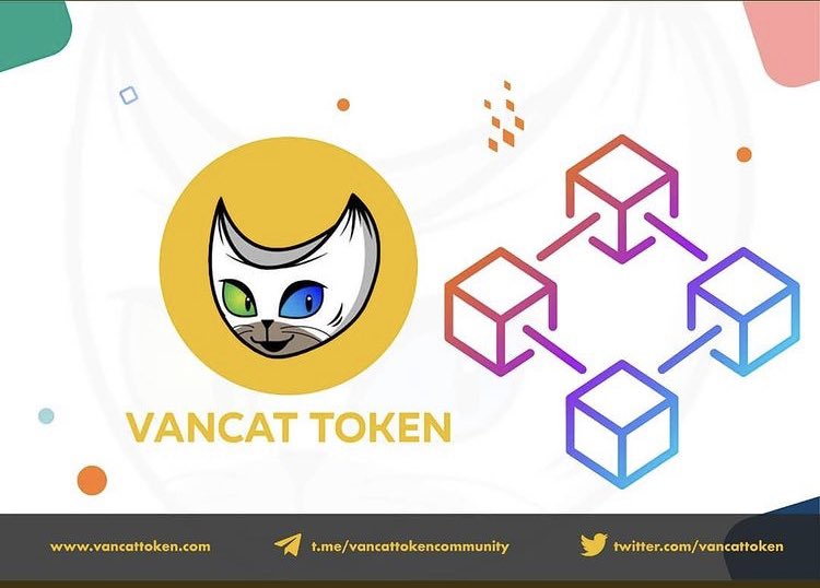 TSM_VOID7267's tweet photo. #VANCAT😻is more than just an ordinary #crypto, but a family of it’s very own #BSCGems💎 like #VCSPERM &amp; #VCEGG which will be used for minting #NFTs. Why miss the opportunity to invest into a project this huge and demanding, especially from ground up !! 🐈‍⬛🐈🚀🚀🔜🌒@vancattoken https://t.co/QA9vGVKJSi
