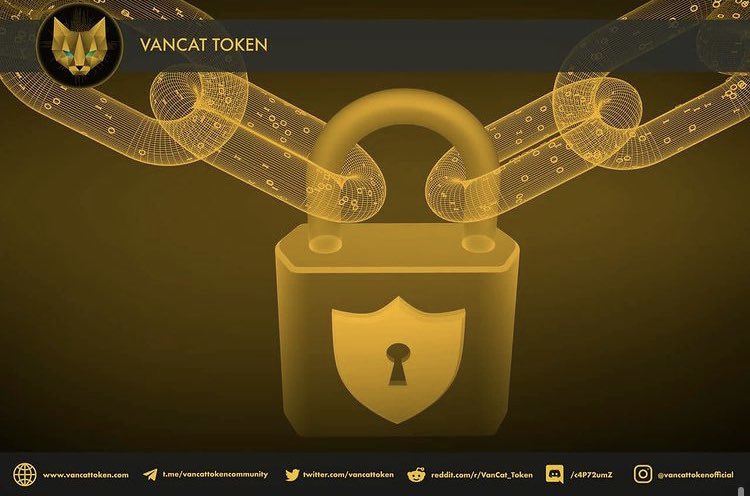 TSM_VOID7267's tweet photo. #VANCAT😻is more than just an ordinary #crypto, but a family of it’s very own #BSCGems💎 like #VCSPERM &amp; #VCEGG which will be used for minting #NFTs. Why miss the opportunity to invest into a project this huge and demanding, especially from ground up !! 🐈‍⬛🐈🚀🚀🔜🌒@vancattoken https://t.co/QA9vGVKJSi